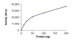 Sino Biological&nbsp;Recombinant Human PI4KA Protein (Full Length, GST Tag), Active