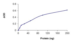 Sino Biological&nbsp;Recombinant Human PADI3/PAD3 Protein (Full Length, GST Tag), Active