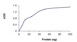 Sino Biological&nbsp;Recombinant Human PADI4 / PAD4 Protein (Full Length, GST Tag), Active