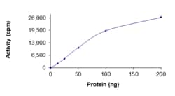 Sino Biological&nbsp;Recombinant Human PRMT3 Protein (Full Length, GST Tag), Active