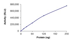 Sino Biological&nbsp;Recombinant Human PRMT6 Protein (Full Length, GST Tag), Active