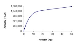 Sino Biological&nbsp;Recombinant Human PRKACB/PKAc beta Protein (Full Length, GST Tag), Active