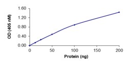 Sino Biological&nbsp;Recombinant Human PTPRE Protein (GST Tag), Active