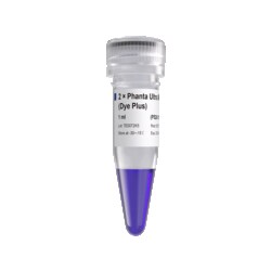 VAZYME INTERNATIONAL LLC&nbsp;Ultra-high fidelity PCR Mix