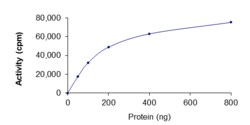 Sino Biological&nbsp;Recombinant Human PDK4 Protein (Full Length, GST Tag), Active