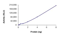 Sino Biological&nbsp;Recombinant Human PKC iota Protein (Full Length, GST Tag), Active