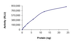 Sino Biological&nbsp;Recombinant Human PRKD1/PKC mu Protein (Full Length, GST Tag), Active