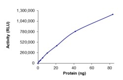 Sino Biological&nbsp;Recombinant Human PKC nu Protein (Full Length, GST Tag), Active
