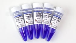 New England Biolabs, Inc. Unstained Protein Standard, Broad Range – 150