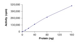 Sino Biological&nbsp;Recombinant Human AMPK (A2/B1/G2) Heterotrimer Protein (Full Length, A2/B1/G2, His & GST Tag), Active