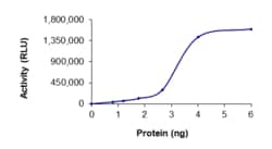 Sino Biological&nbsp;Recombinant Human PDE1A Protein (Full Length, His Tag), Active