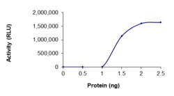 Sino Biological&nbsp;Recombinant Human PDE4D Protein (GST Tag), Active