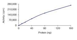 Sino Biological&nbsp;Recombinant Human Brk Protein (Full Length, GST Tag), Active