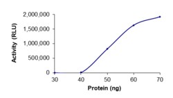 Sino Biological&nbsp;Recombinant Human PDE8B Protein (GST Tag), Active
