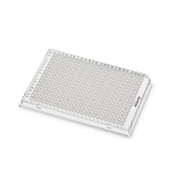 Axygen RIGIPLATE 384-Well PCR Microplate Clear | Buy Online | Axygen&trade; | Fisher Scientific