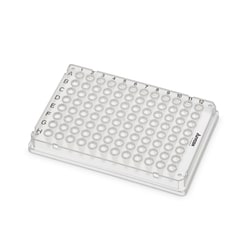 Axygen RIGIPLATE 96-Well PCR Microplate:Microplates:Cell Culture Microplates