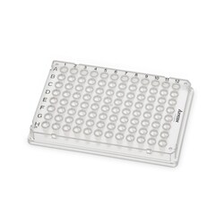 Axygen RIGIPLATE 96-Well PCR Microplate, Full Skirt Clear | Buy Online | Axygen&trade; | Fisher Scientific