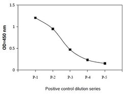 Raybiotech Inc Human, Mouse Phospho-ATF2 (Thr69/71) ELISA Kit., Quantity: