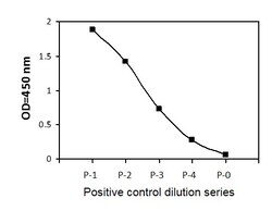 Raybiotech Inc Human, Mouse Phosphotyrosine CSK ELISA Kit., Quantity: Each