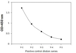 Raybiotech Inc Human, Mouse, Rat Phospho-HDAC2 (Ser394) and Total HDAC2