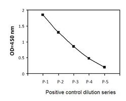 Raybiotech Inc Human Phosphotyrosine LCK ELISA Kit., Quantity: Each of