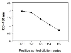 Raybiotech Inc Human/Mouse/Rat Phospho-P53 (S15) ELISA Kit., Quantity: