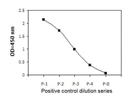Raybiotech Inc Human Phosphotyrosine RET ELISA Kit., Quantity: Each of