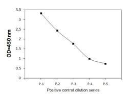 Raybiotech Inc&nbsp;HUMAN PHOSPHO-SHIP1 (Y1020) 5P