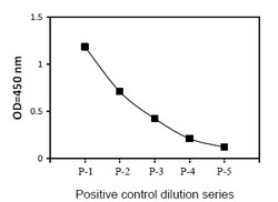 Raybiotech Inc Human Phospho-SMAD5 (SER463/465) and Total SMAD5 ELISA Kit,