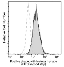 Sino Biological Anti-M13 Antibody (FITC), Mouse Monoclonal, Quantity: Each