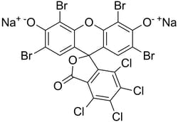 Electron Microscopy Sciences Phloxine B, Certified, C.I. DcPh-6 25 GR,
