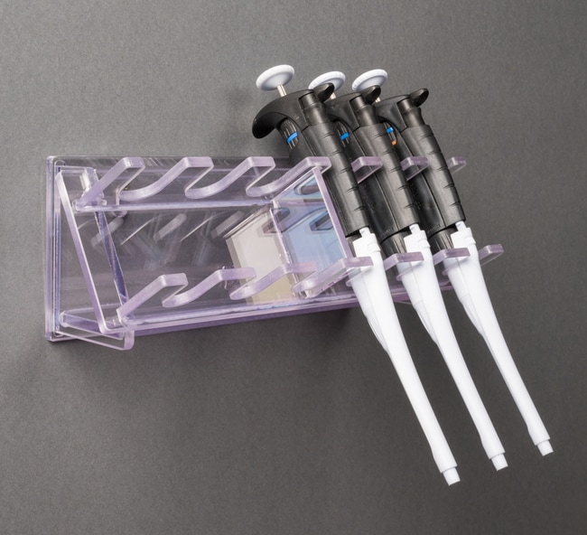 Poltex Wall Pipette Rack, 6 PositionsRacksPipet Racks Fisher Scientific