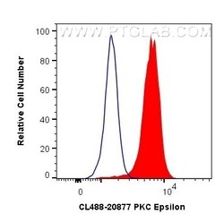 PKC Epsilon Rabbit, anti-Human, CoraLite Plus 488, Polyclonal, Proteintech:Antibodies:Primary