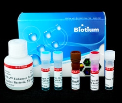 Biotium PMA Real-Time PCR Bacterial Viability Kit - Salmonella enterica