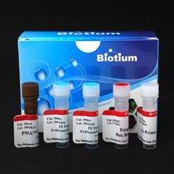 Biotium PMA Real-Time PCR Bacterial Viability Kit - Mycobacterium tuberculosis