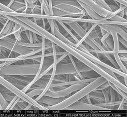 MilliporeSigma&nbsp;Millipore Polypropylene Membrane Filter, 0.45 &mu;m