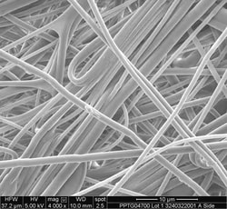 MilliporeSigma&nbsp;Millipore Polypropylene Membrane Filter, 0.2 &mu;m
