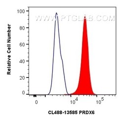 PRDX6 Rabbit, anti-Human, CoraLite Plus 488, Polyclonal, Proteintech Quantity: