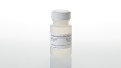 Promega&nbsp;Proteinase K (PK) Solution