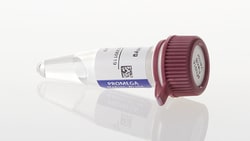 Promega pFC32K <i>Nluc</i> CMV-neo Flexi™ Vector