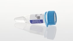 Promega pNL1.1.TK[Nluc/TK] Vector