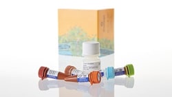 Promega&nbsp;NanoBRET TE Intracellular BET BRD Assay, 100 assays