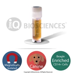 iQ Biosciences&nbsp;Purified Beagle Canine CD14+ cells, 2M cells/vial