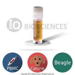 iQ Biosciences Beagle Canine PBMCs, 10M cells/vial, Quantity: Each of 1