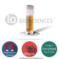iQ Biosciences Purified C57BL/6 Mouse CD3 Pan T Cells, 5M cells/vial, Quantity: