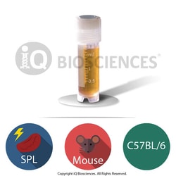 iQ Biosciences C57BL/6 Mouse Irradiated Splenocytes, 25M cells/vial, Quantity: