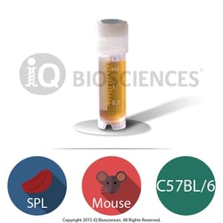 iQ Biosciences C57BL/6 Mouse Splenocytes, 50M cells/vial, Quantity: Each