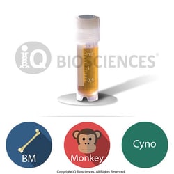 iQ Biosciences Cynomolgus Monkey Bone Marrow Cells, 1M cells/vial, Quantity: