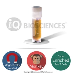 iQ Biosciences Purified Cynomolgus Monkey CD3 Pan T Cells, 5M cells/vial,