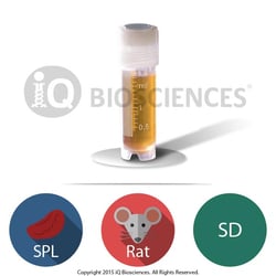 iQ Biosciences SD Rat Splenocytes, 50M cells/vial, Quantity: Each of 1